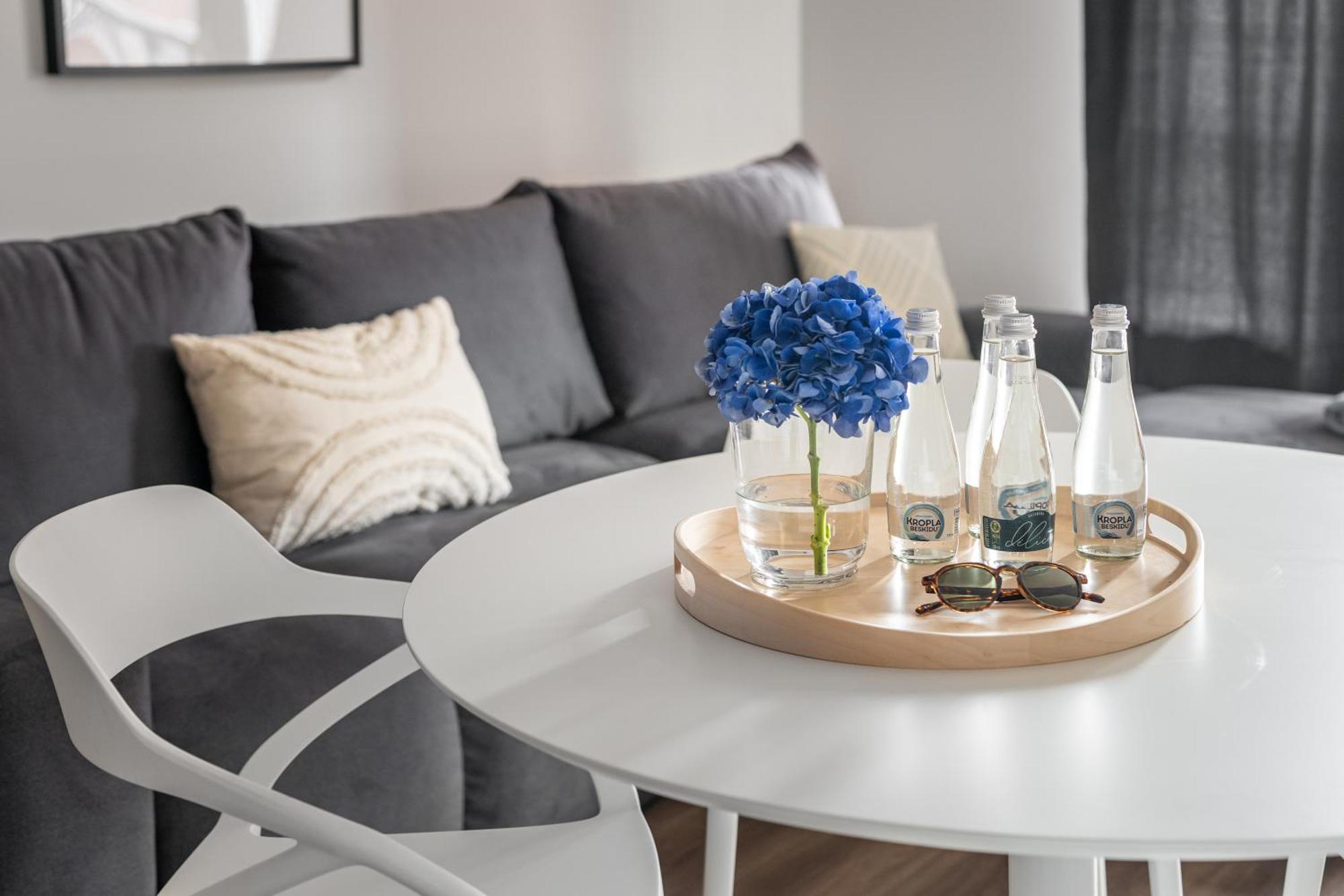 Scala 60C City Center Apartments With Parking By Lion Apartments 그단스크 외부 사진